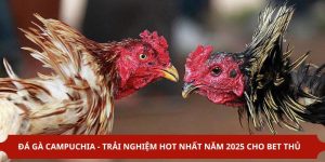 đá gà campuchia kịch tính tại abc8